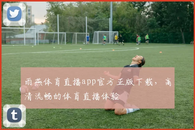 雨燕体育直播app官方正版下载，高清流畅的体育直播体验