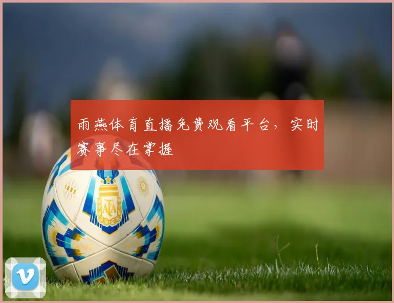 雨燕体育直播免费观看平台，实时赛事尽在掌握