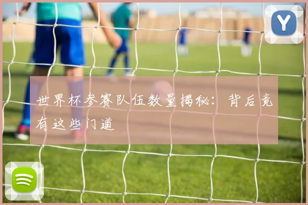世界杯参赛队伍数量揭秘：背后竟有这些门道