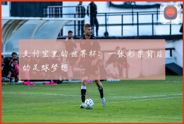 支付宝里的世界杯：一张彩票背后的足球梦想