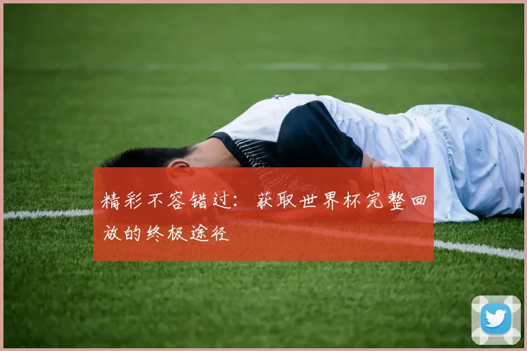 精彩不容错过：获取世界杯完整回放的终极途径