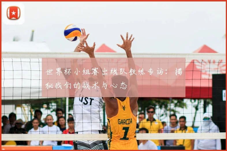 世界杯小组赛出线队教练专访:揭秘我们的战术与心态