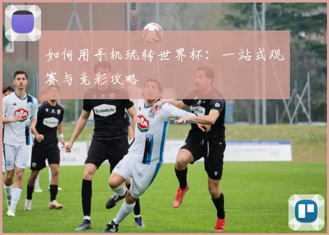 如何用手机玩转世界杯：一站式观赛与竞彩攻略