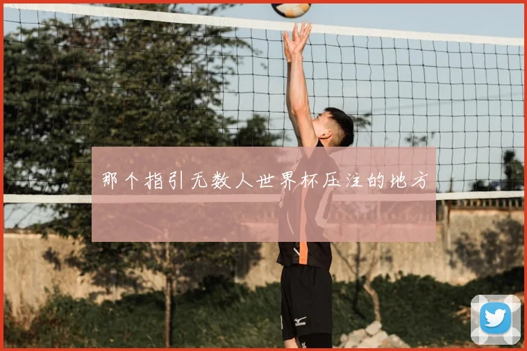 那个指引无数人世界杯压注的地方