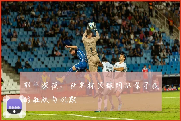 那个深夜，世界杯买球网记录了我的狂欢与沉默