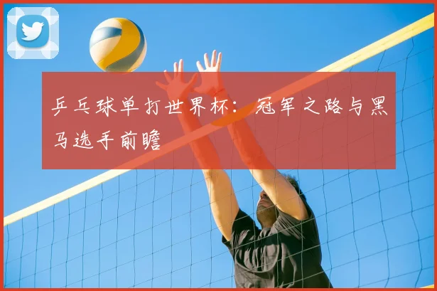 乒乓球单打世界杯：冠军之路与黑马选手前瞻