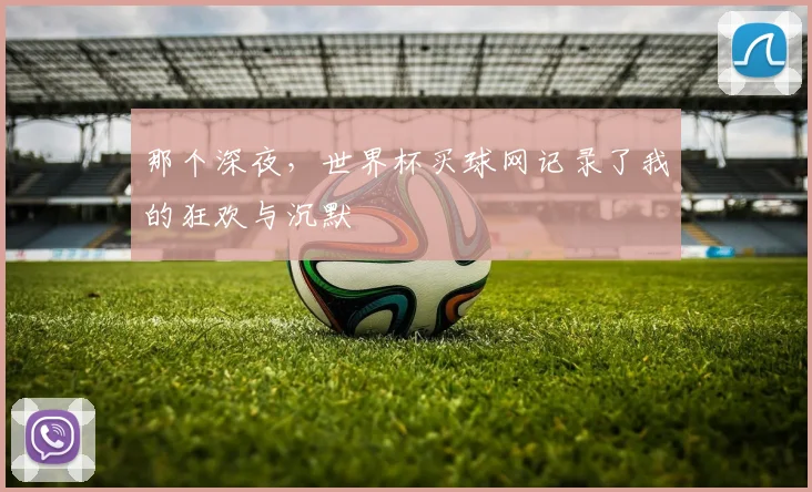 那个深夜，世界杯买球网记录了我的狂欢与沉默